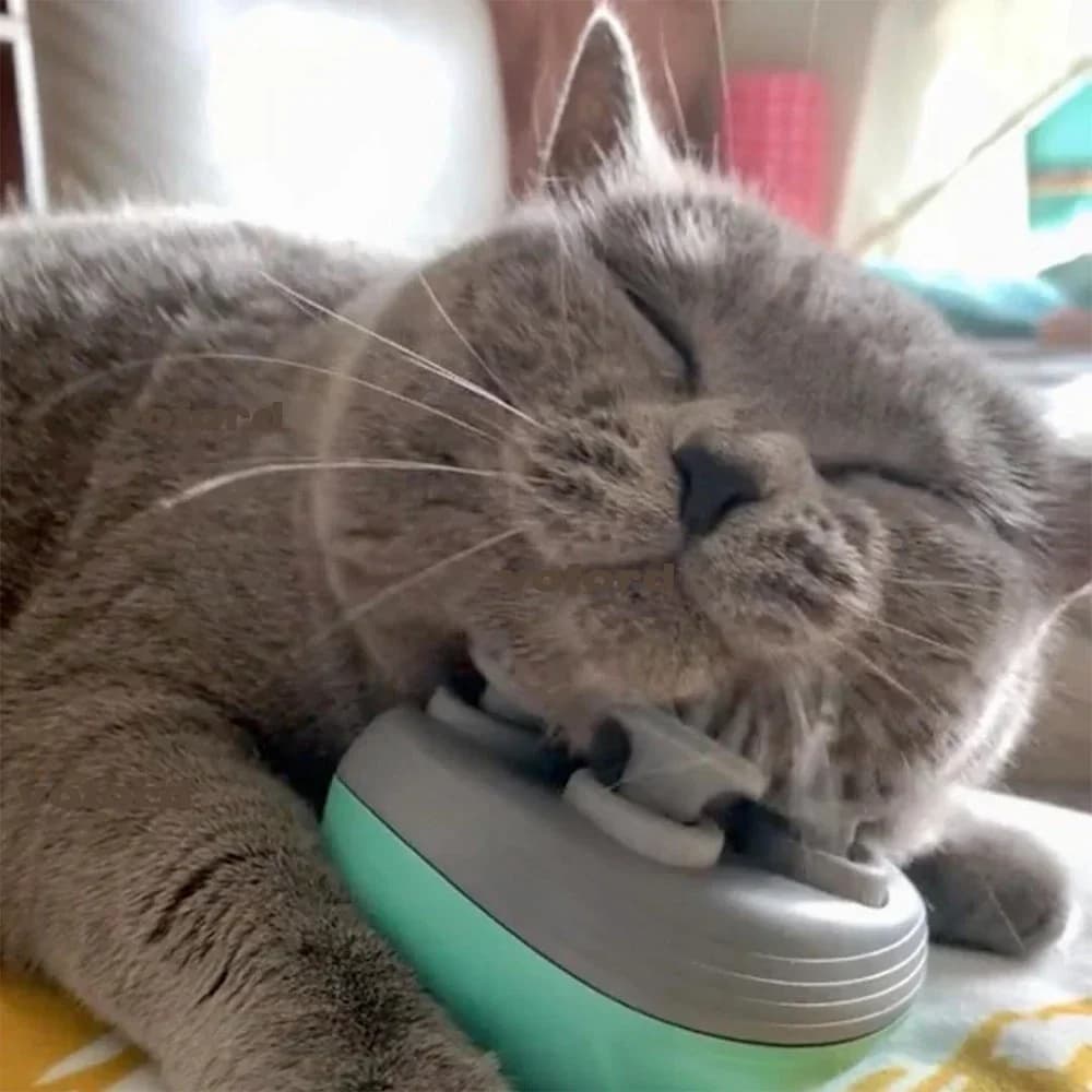 Electric Cat Massager — Pure Relaxation - foto 1