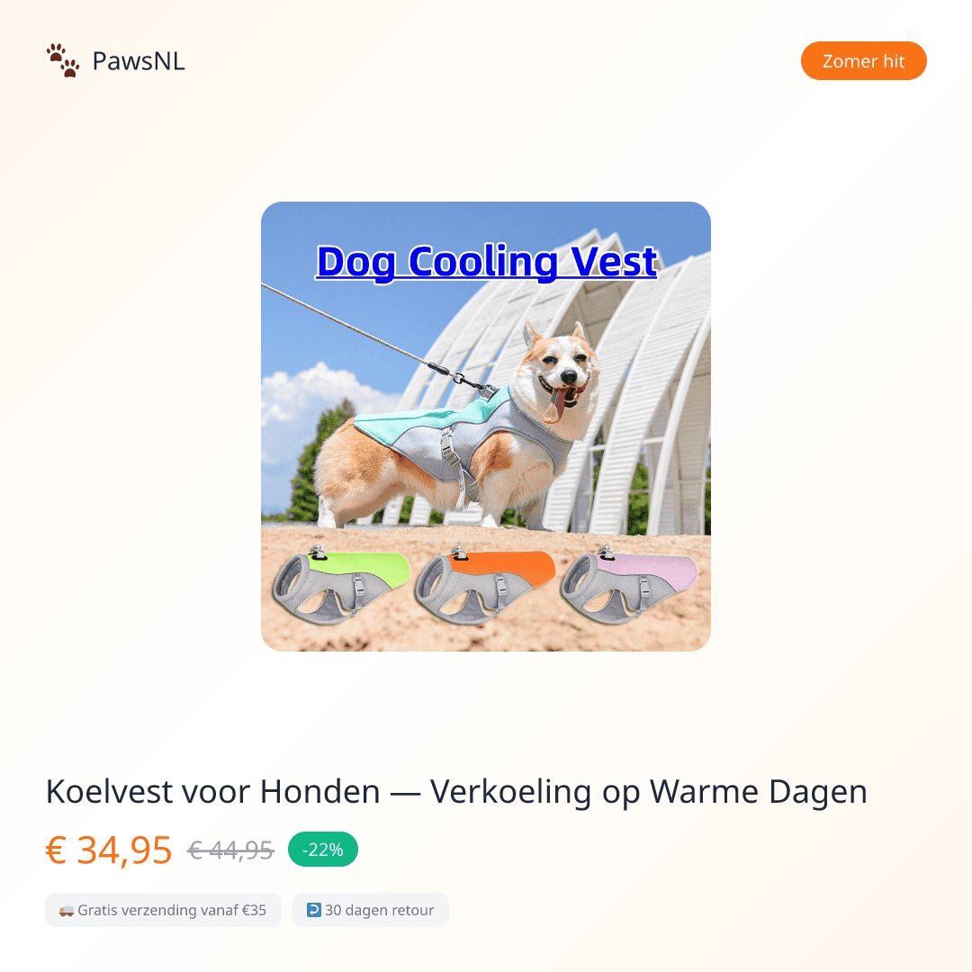 Dog Cooling Vest — Beat the Heat on Warm Days