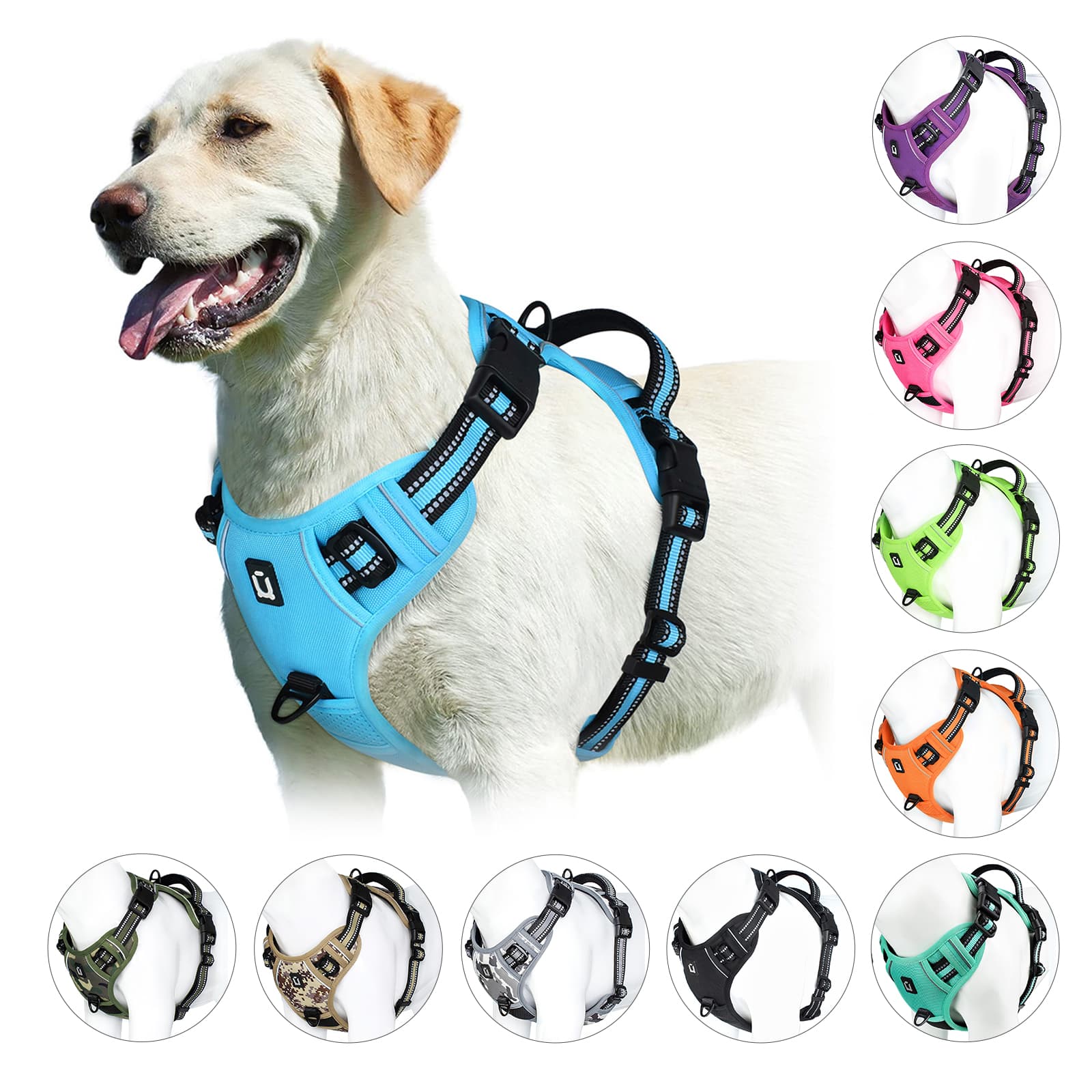 No-Pull Dog Harness — Relaxed Walks Every Time