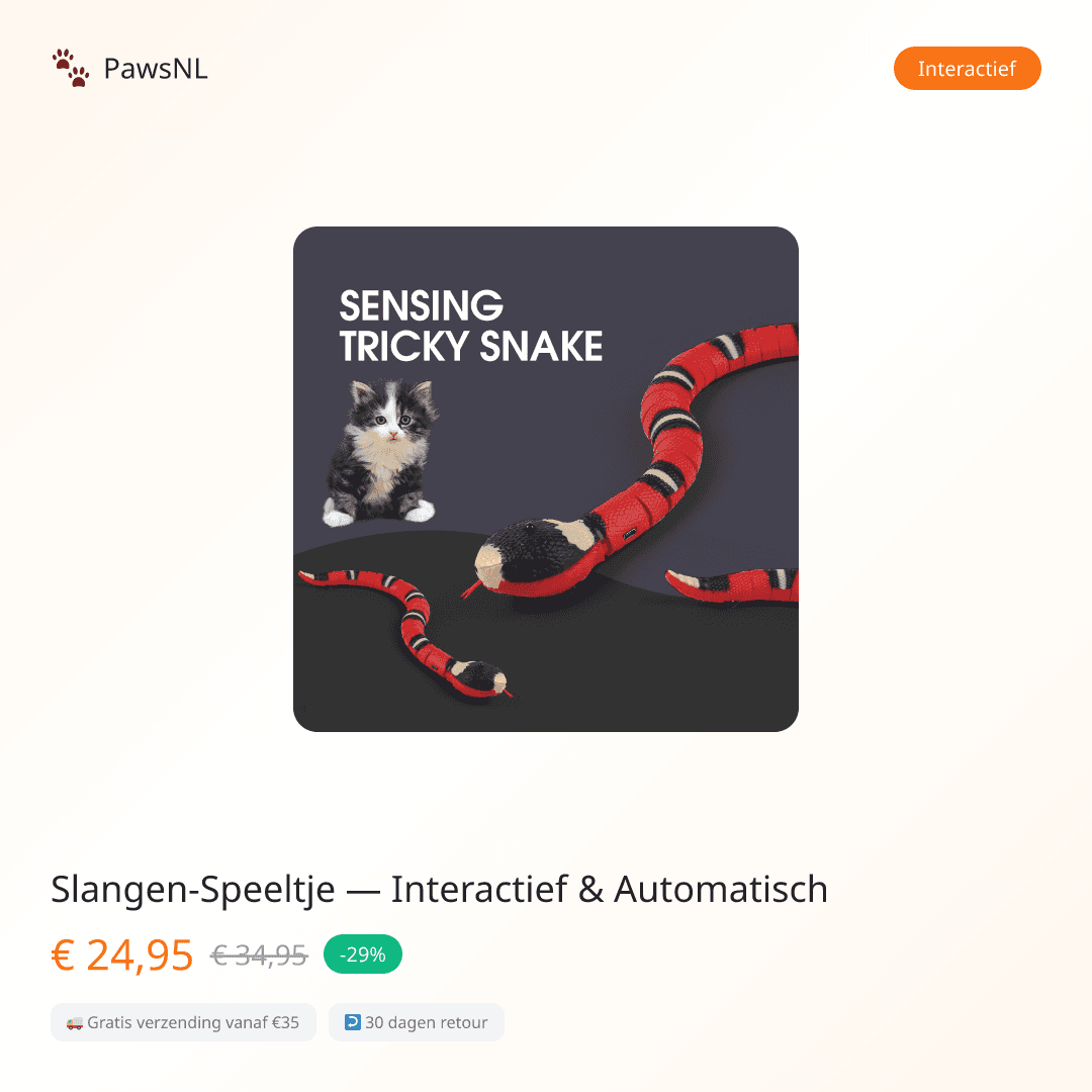 Snake Cat Toy — Interactive & Automatic