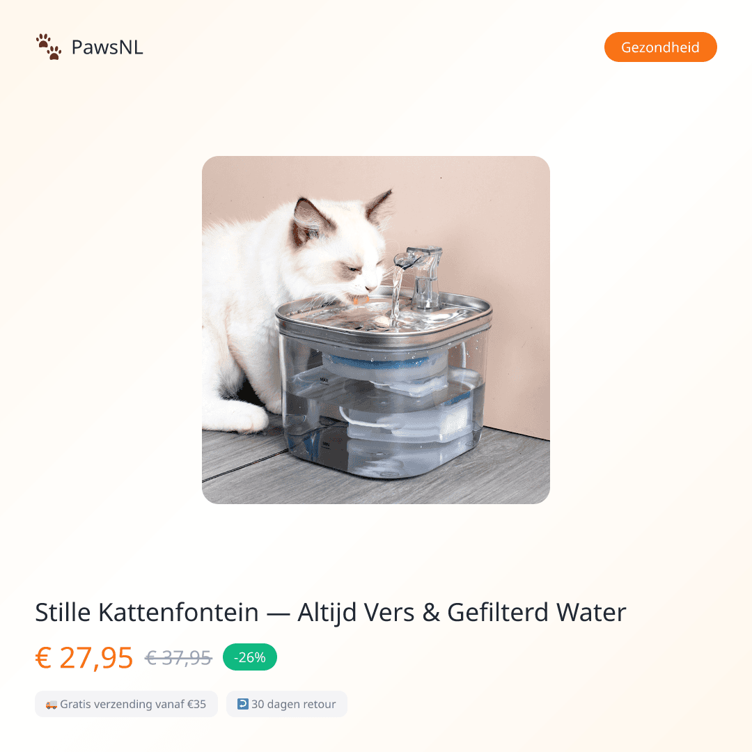 Silent Cat Water Fountain — Always Fresh & Filtered